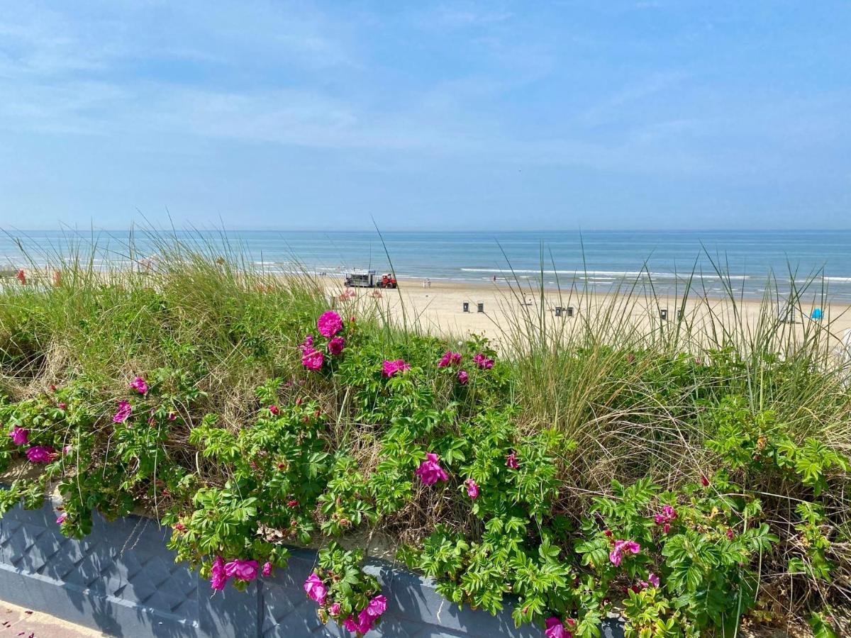 @54 Leilighet Zandvoort Eksteriør bilde